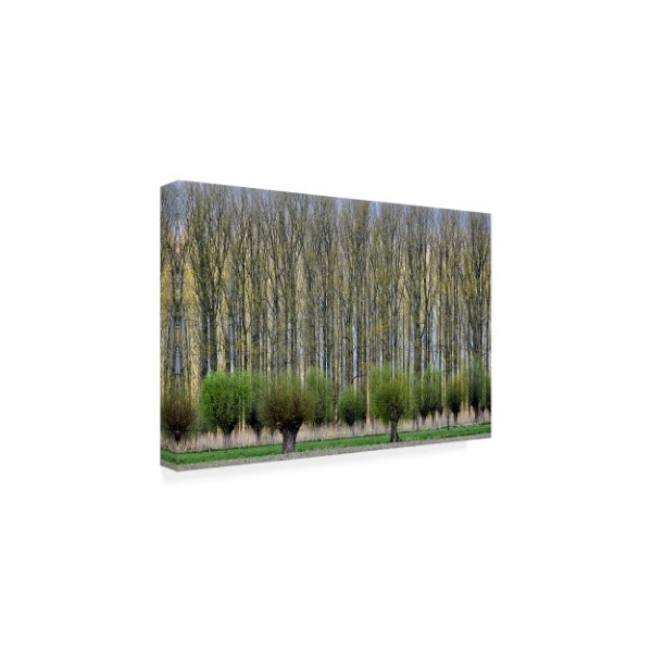 Henk Van Maastricht 'Forest Layers' Canvas Art,12x19